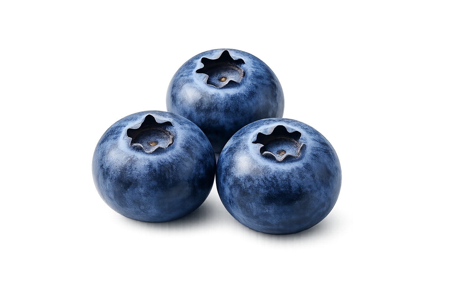 Fresh blueberries topping for mini pancakes